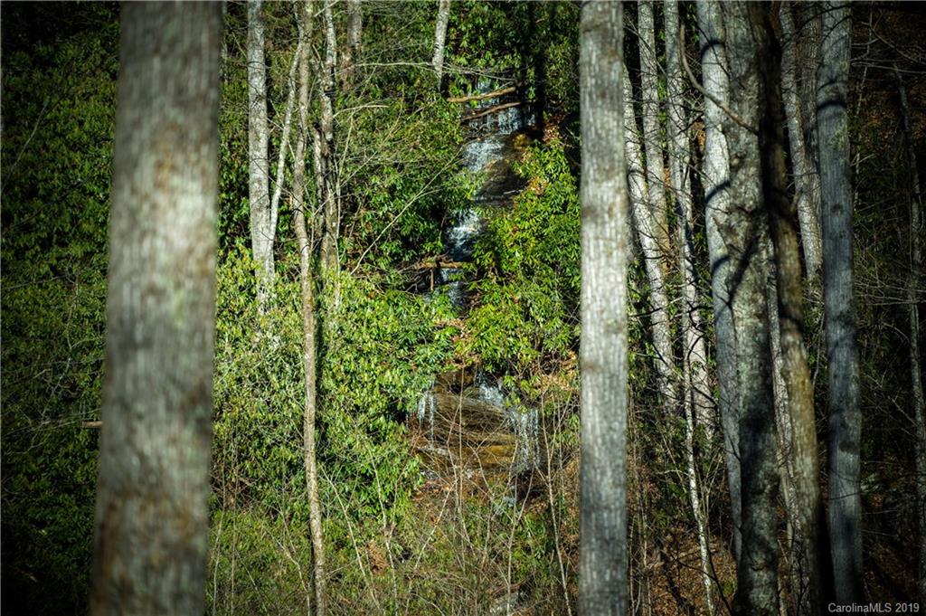 126-acres Bald Rock Road Balsam Grove, NC 28708 - Photo 28 of 47 Gallery Image 28