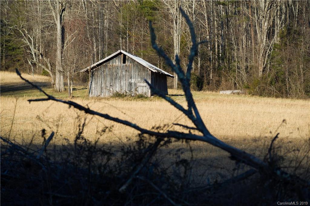 126-acres Bald Rock Road Balsam Grove, NC 28708 - Photo 29 of 47 Gallery Image 29