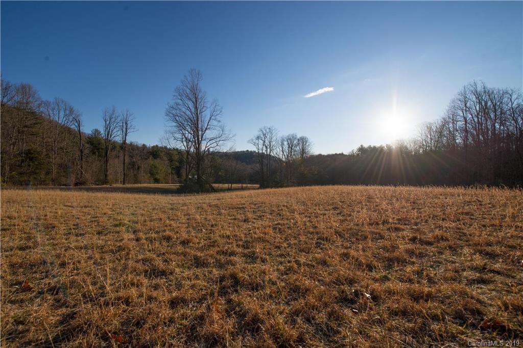 126-acres Bald Rock Road Balsam Grove, NC 28708 - Photo 30 of 47 Gallery Image 30