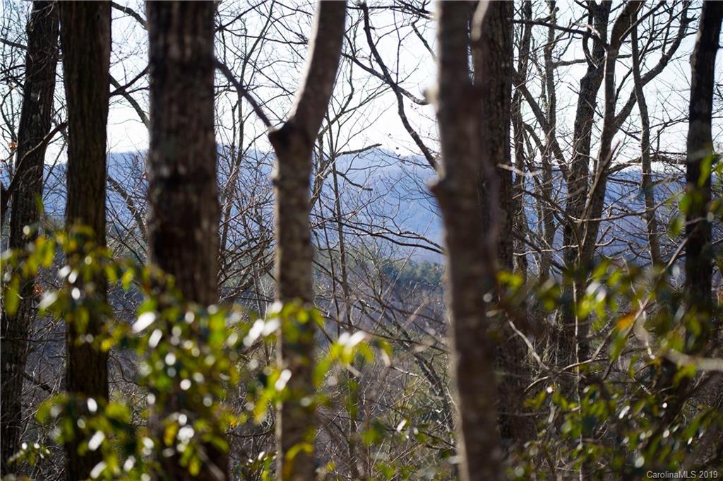 126-acres Bald Rock Road Balsam Grove, NC 28708 - Photo 32 of 47 Gallery Image 32