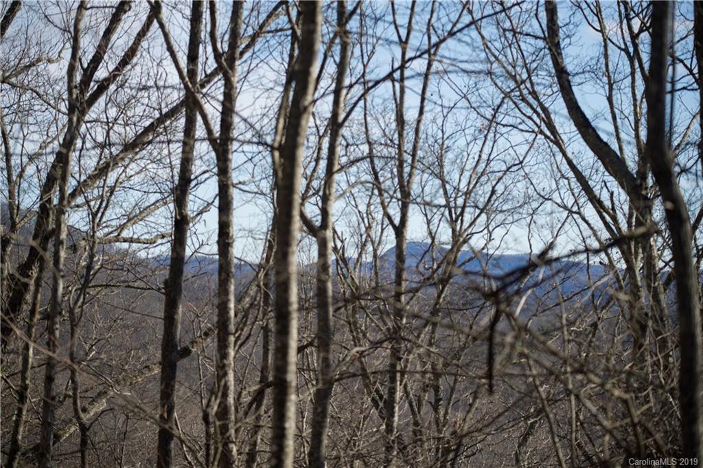 126-acres Bald Rock Road Balsam Grove, NC 28708 - Photo 33 of 47 Gallery Image 33