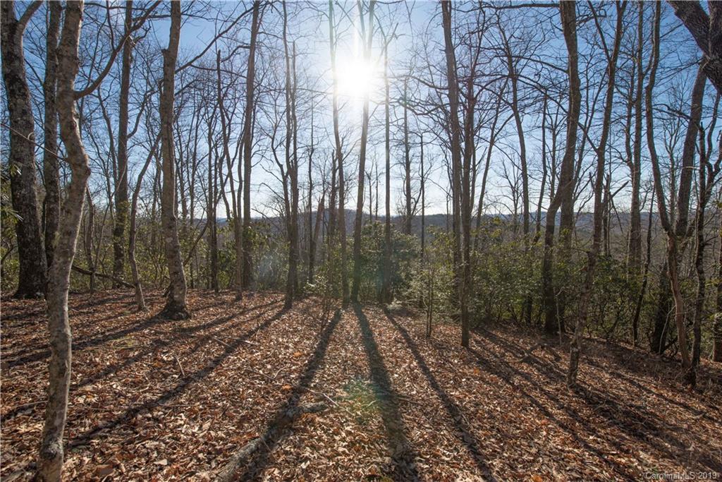 126-acres Bald Rock Road Balsam Grove, NC 28708 - Photo 34 of 47 Gallery Image 34