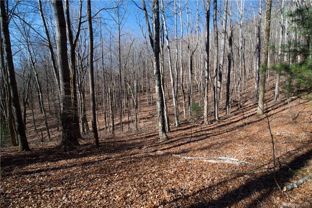 126-acres Bald Rock Road Balsam Grove, NC 28708 - Photo 35 of 47 Gallery Image 35