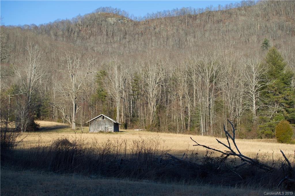 126-acres Bald Rock Road Balsam Grove, NC 28708 - Photo 36 of 47 Gallery Image 36