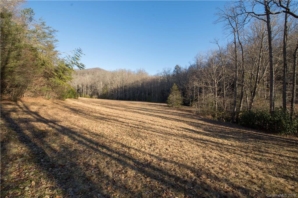 126-acres Bald Rock Road Balsam Grove, NC 28708 - Photo 37 of 47 Gallery Image 37