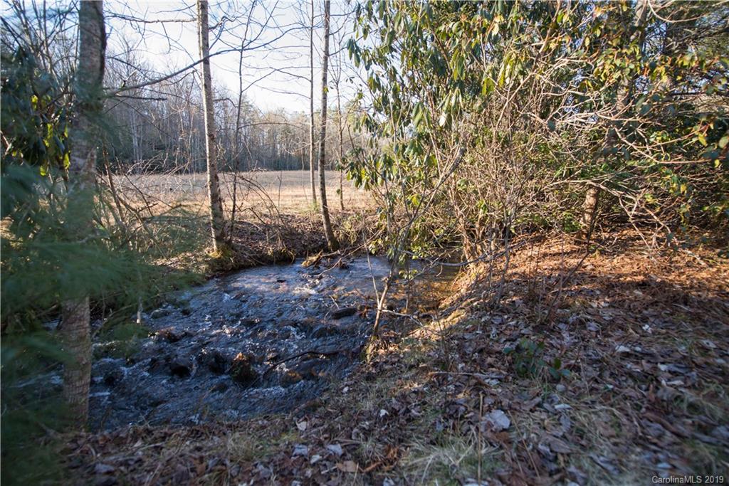 126-acres Bald Rock Road Balsam Grove, NC 28708 - Photo 39 of 47 Gallery Image 39