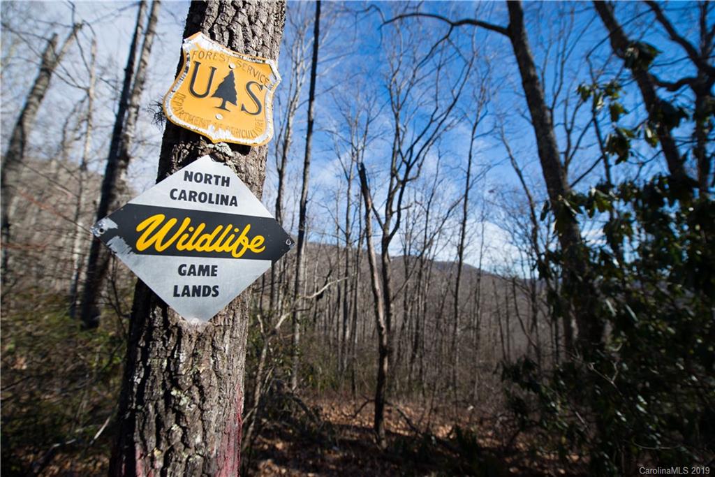 126-acres Bald Rock Road Balsam Grove, NC 28708 - Photo 40 of 47 Gallery Image 40