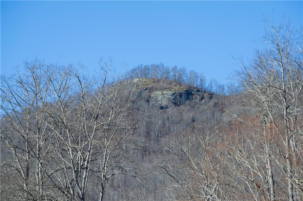 126-acres Bald Rock Road Balsam Grove, NC 28708 - Photo 44 of 47 Gallery Image 44
