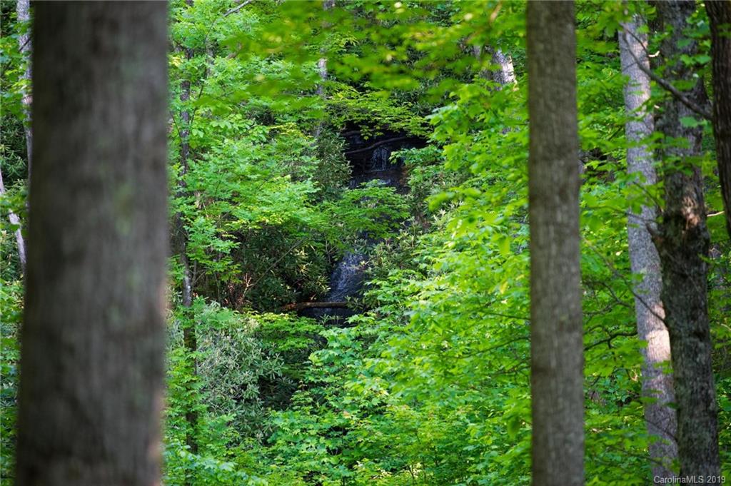 126-acres Bald Rock Road Balsam Grove, NC 28708 - Photo 10 of 47 Gallery Image 10