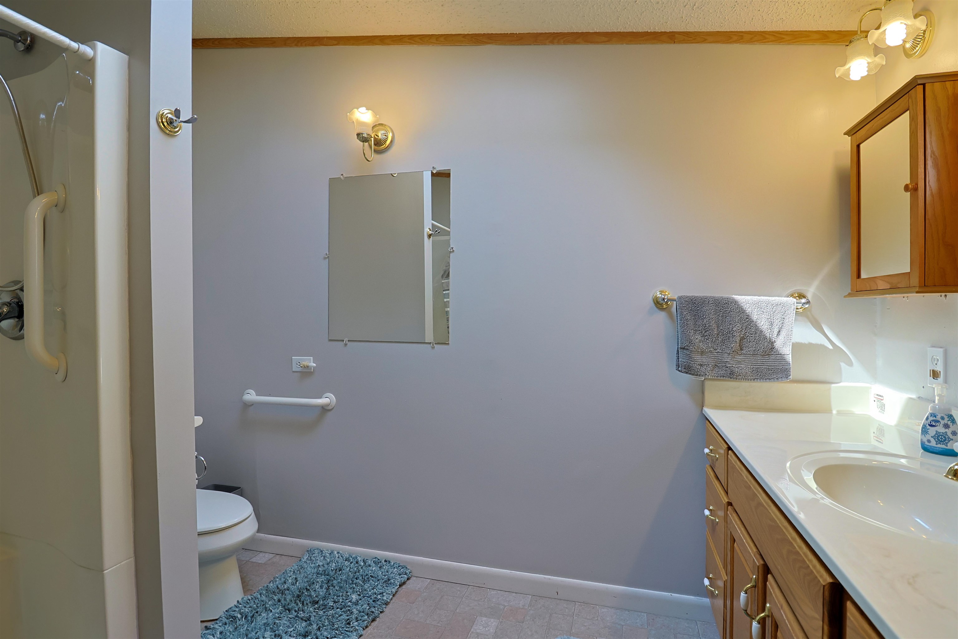 5702 South Shepherd Road Shepherd, MI 48883 - Photo 18 of 29
