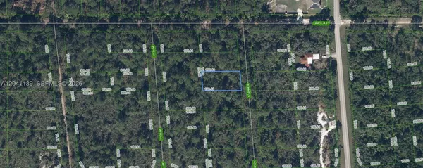 $8,900 | 722 Ronnie Ln Lake, Lake Placid, FL 33852