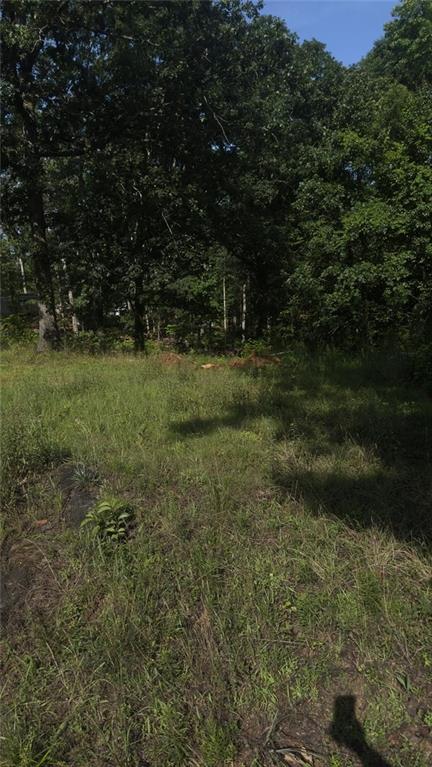 a view of outdoor space and yard