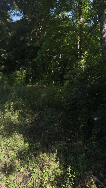 5724 Sallee Circle Gainesville, GA 30504 - Photo 2 of 5 a view of a lush green forest