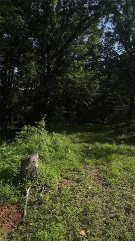 a view of outdoor space and yard