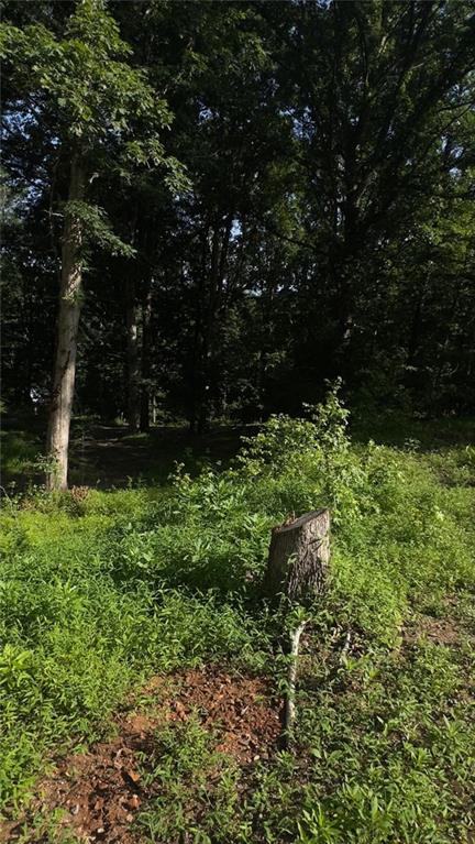 5724 Sallee Circle Gainesville, GA 30504 - Photo 5 of 5 a view of outdoor space and garden
