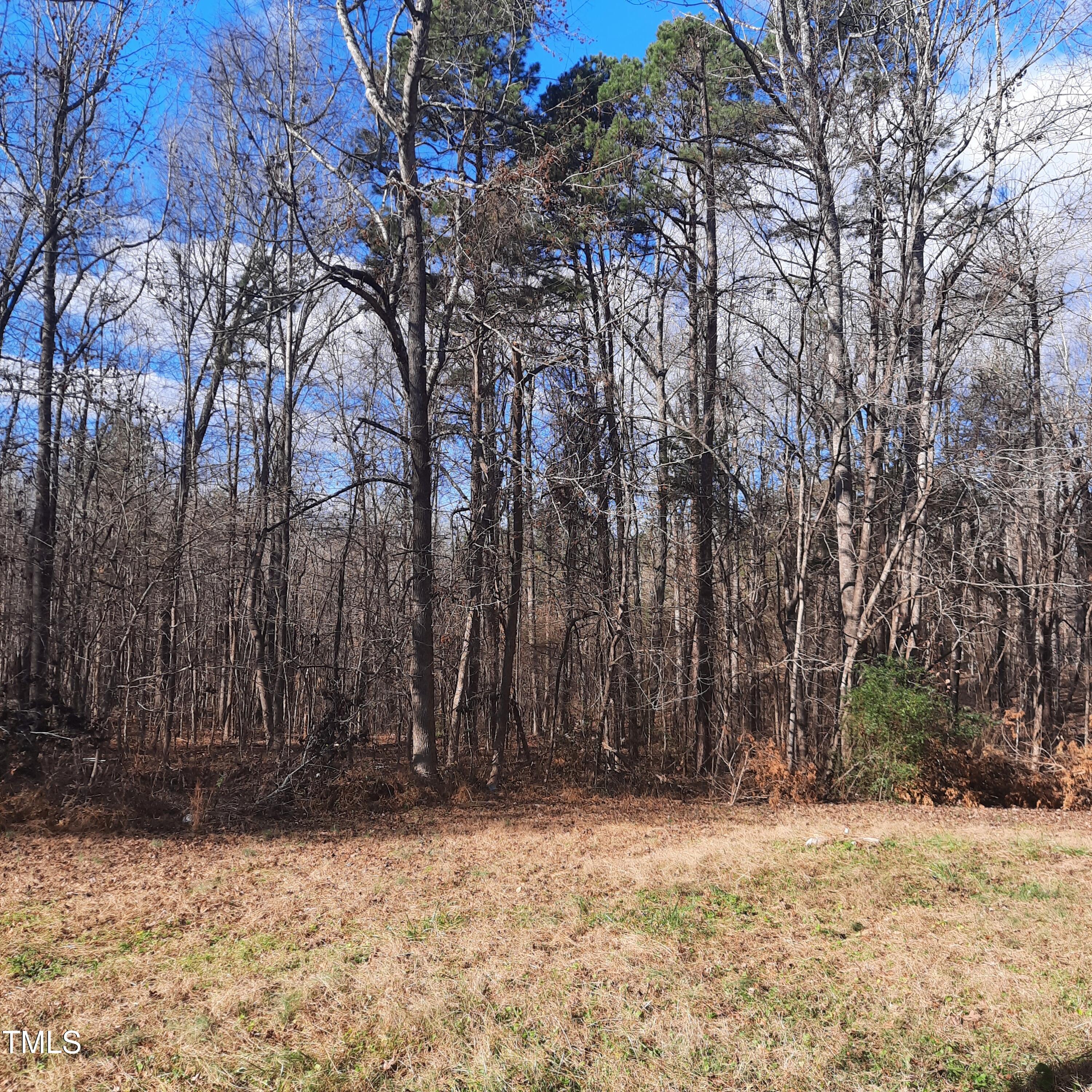 2800 Coleman Loop Road Hillsborough, NC 27278 - Photo 21 of 23 View of backyard