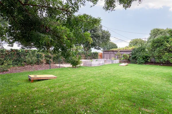 a view of a park with large trees
