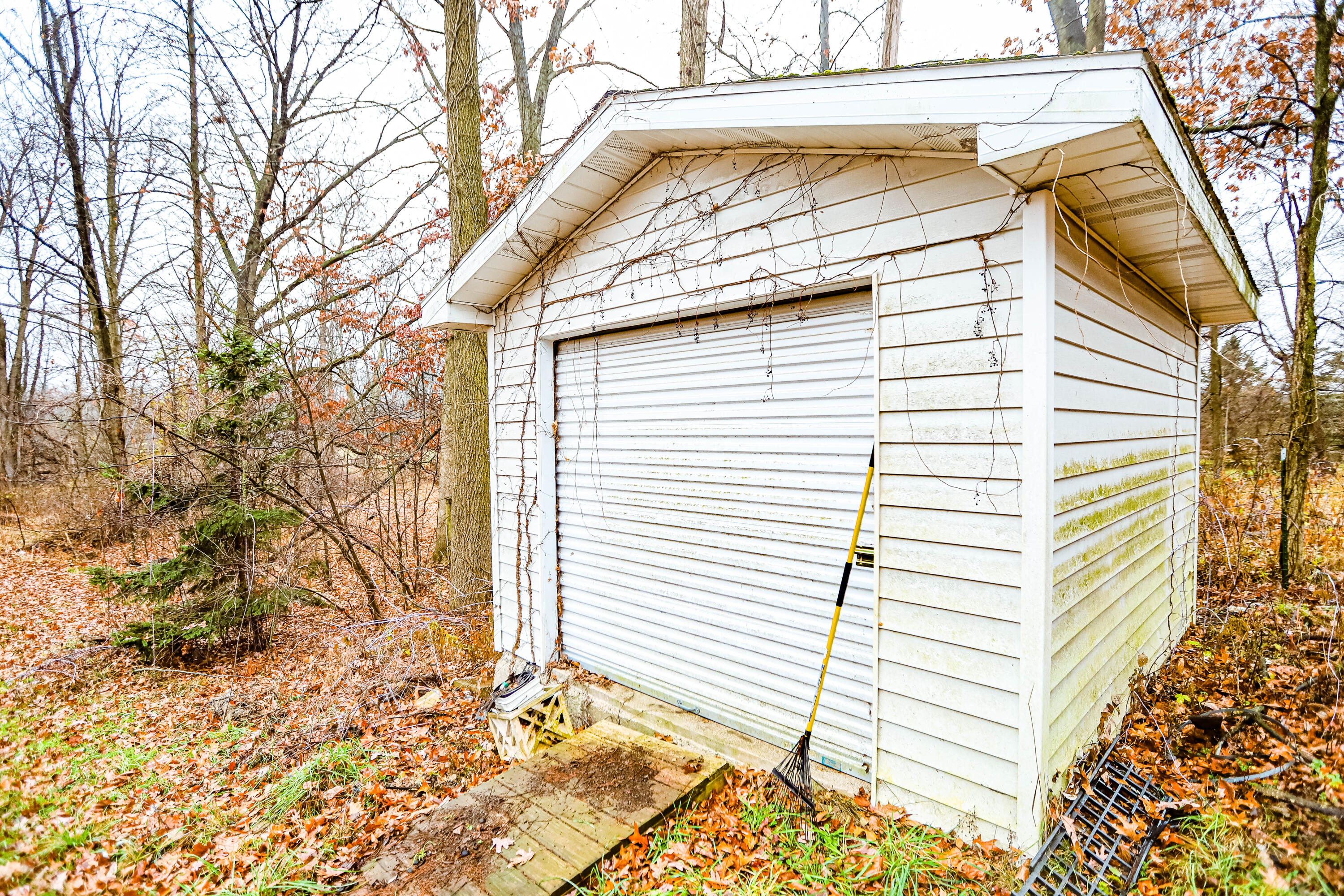 12019 Berryville Road Rives Junction, MI 49277 - Photo 22 of 23 12019 Berryville-30