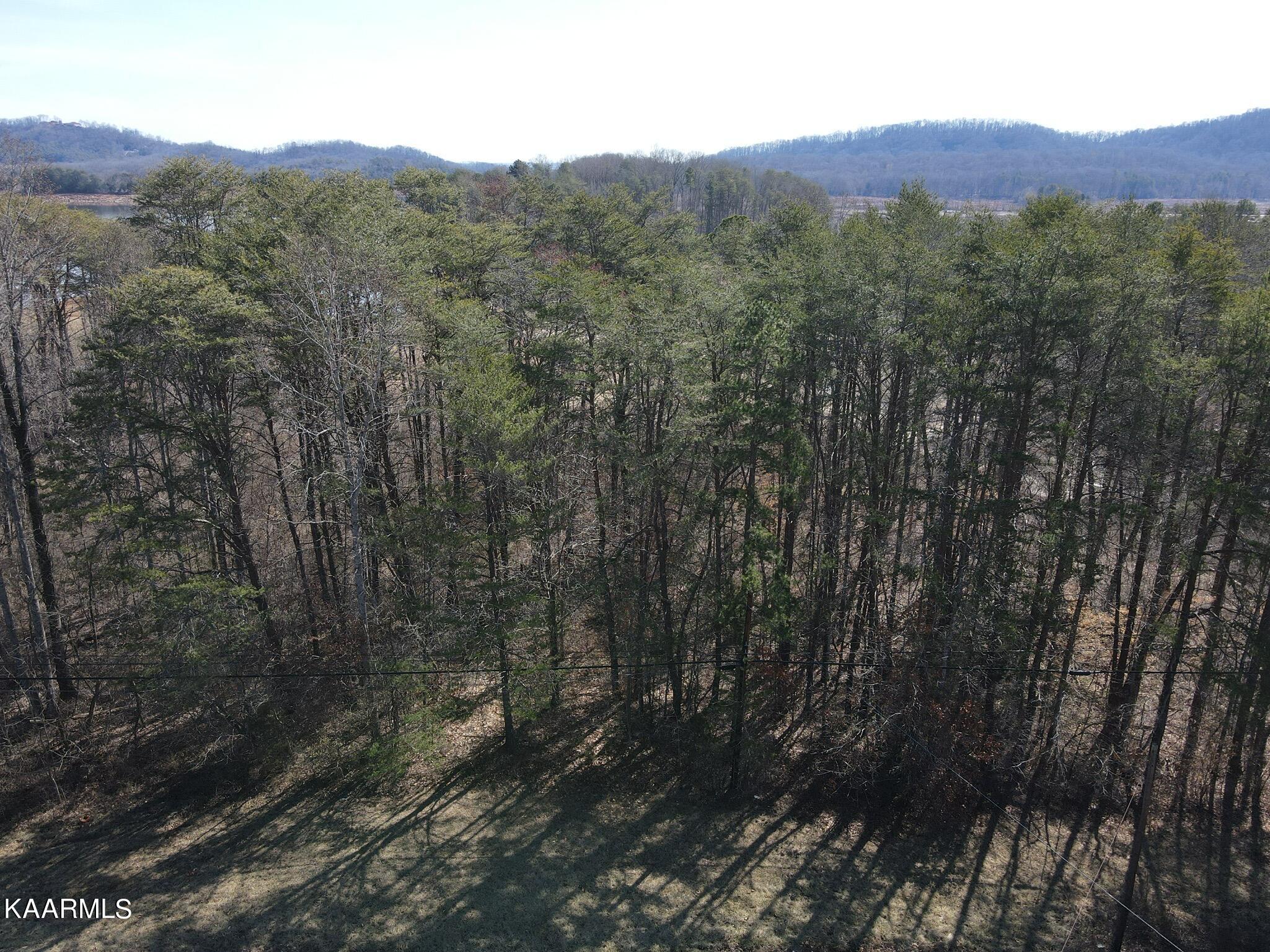 11 West S Highway Bean Station, TN 37708 - Photo 8 of 16 dji_fly_20230214_120326_601_167639422823