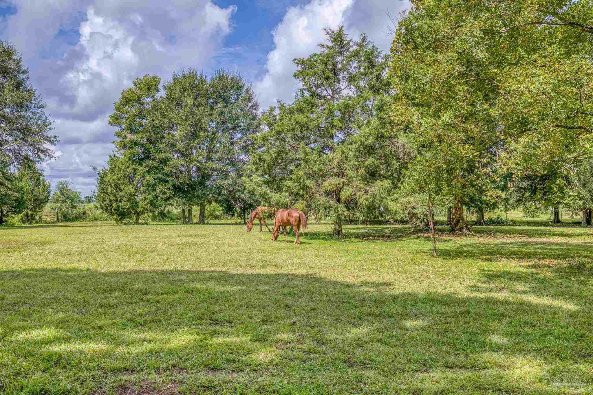 8430 Tidwell Road Pace, FL 32571 - Photo 1 of 20 Gallery Image 1