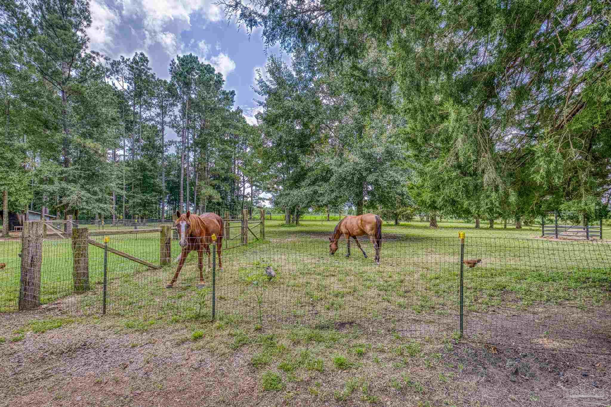 8430 Tidwell Road Pace, FL 32571 - Photo 12 of 20 Gallery Image 12