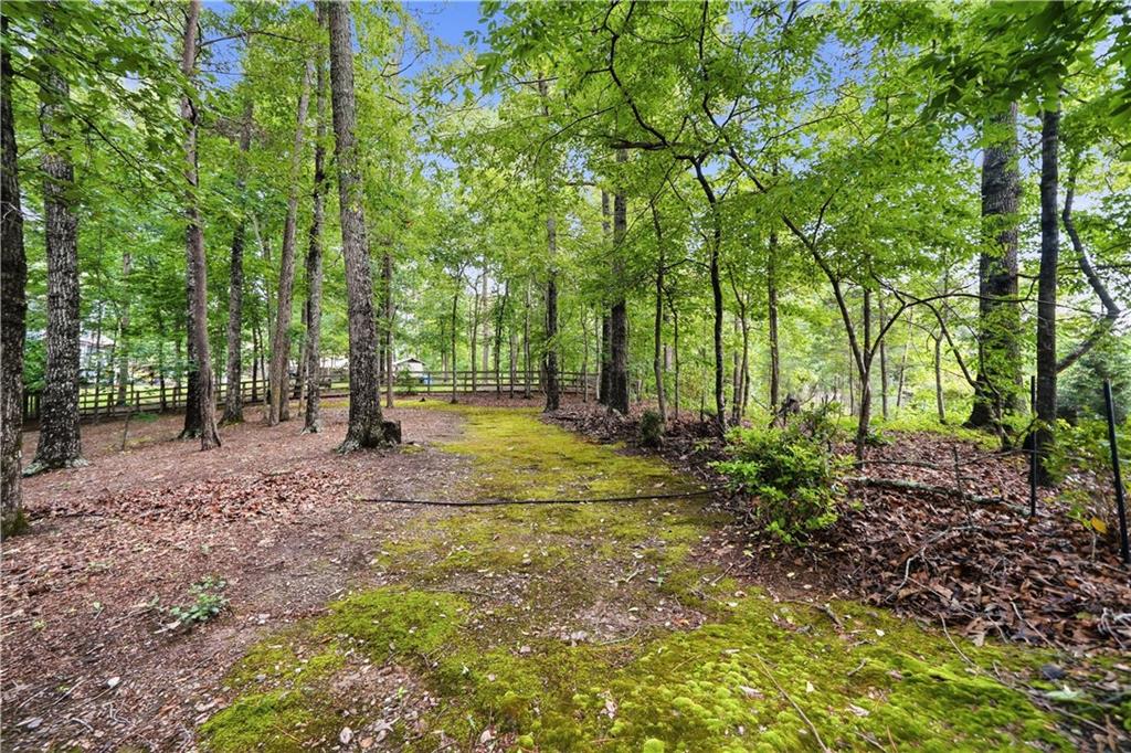 160 Carmel Ridge Road Canton, GA 30114 - Photo 81 of 101