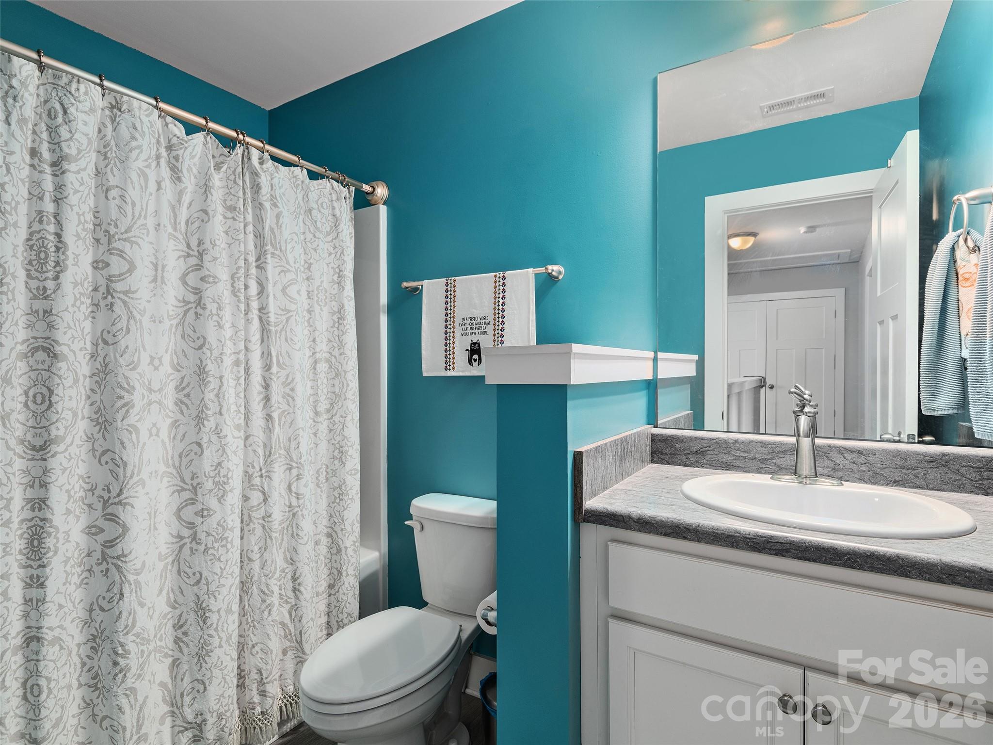 201 Stoney Point Way Candler, NC 28715 - Photo 15 of 18 a bathroom with a sink a toilet and shower curtain