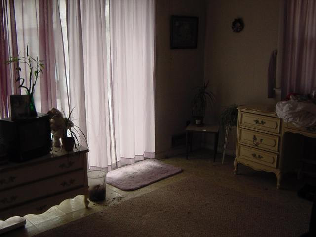 3103 Lone Pine Road Guilderland, NY 12303 - Photo 8 of 11 Photo 8
