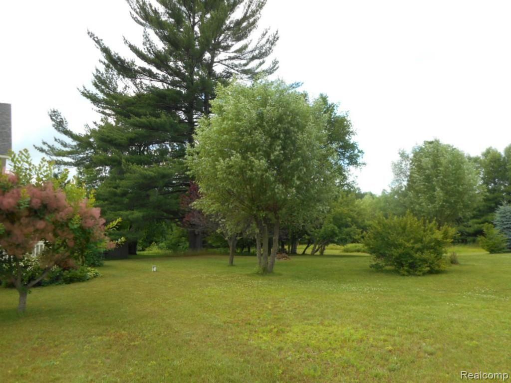 6125 Hubbard Road Port Hope, MI 48468 - Photo 19 of 29 6125 Hubbard - 2 McApline 010.jpg