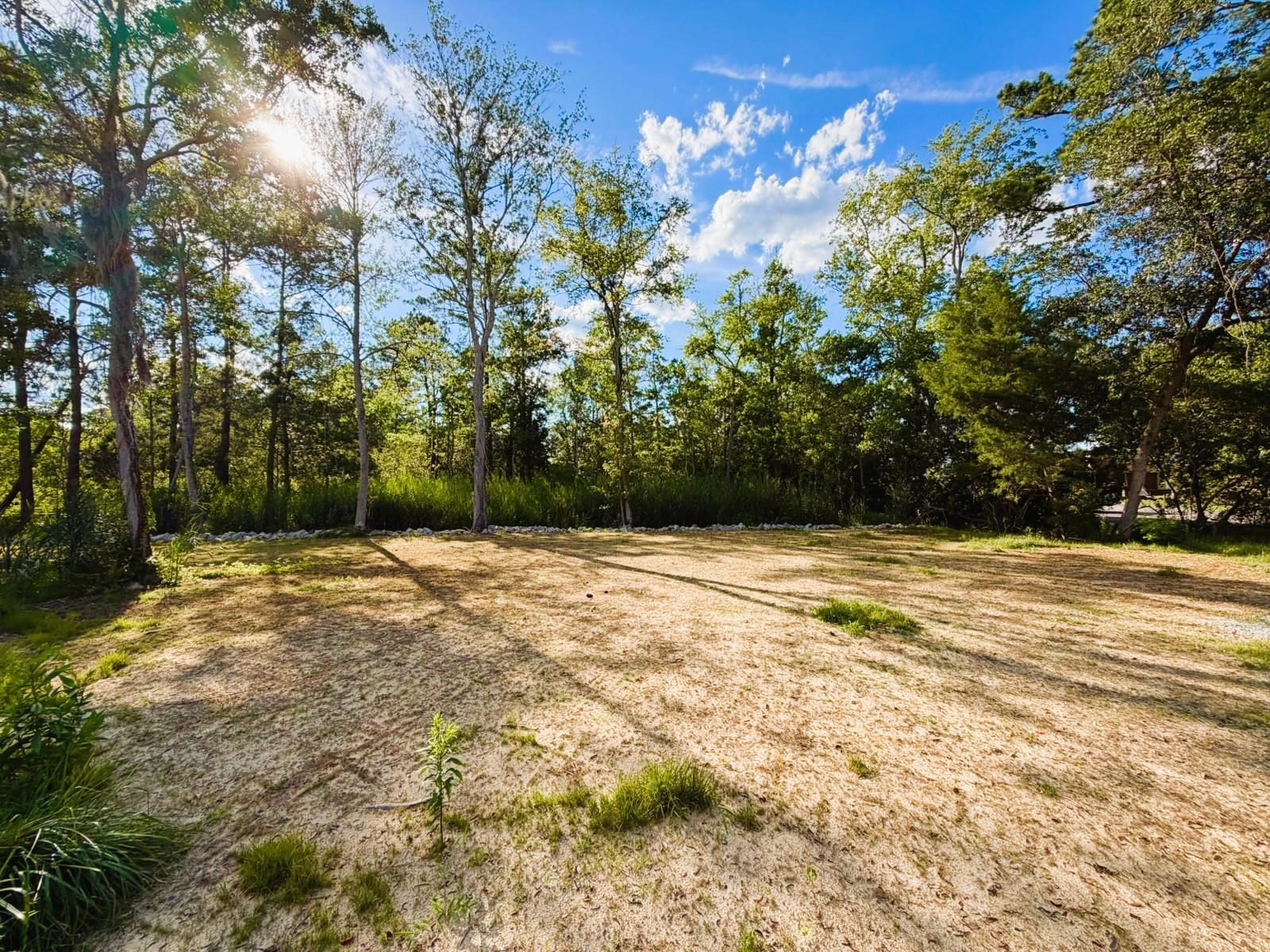67 Ricefield Place Georgetown, SC 29440 - Photo 5 of 33