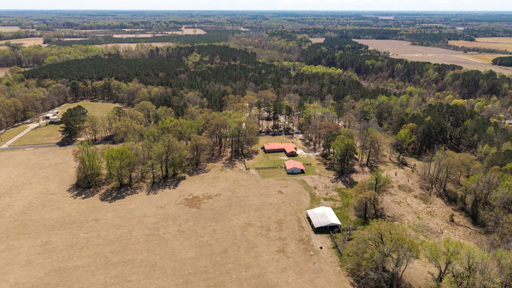 3795 Bart Davis Road Alcolu, SC 29001 - Photo 38 of 81