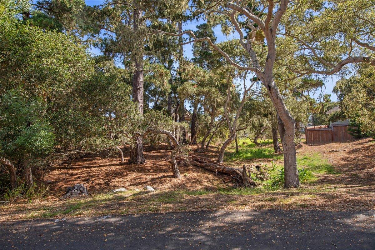 3047 Sherman Road Pebble Beach, CA 93953 - Photo 42 of 49 Gallery Image 42