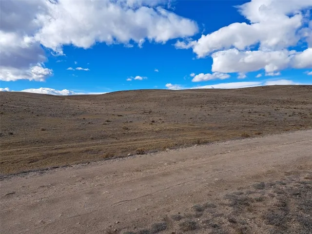 a view of a dry yard