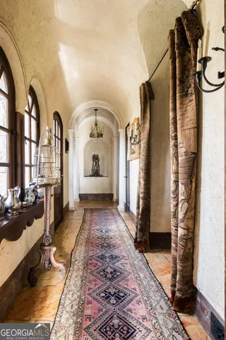 a view of a bunch of trees