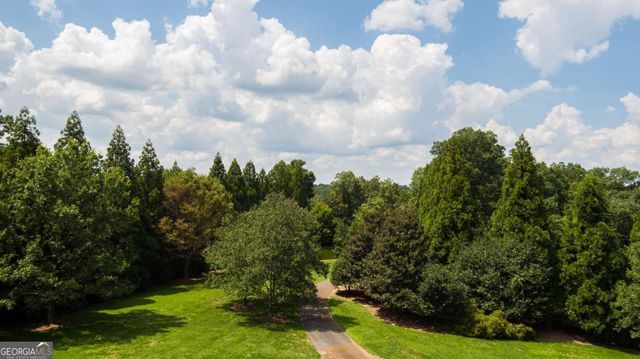 a view of a plant in a garden