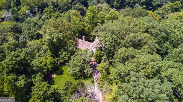 a view of a flower in a garden