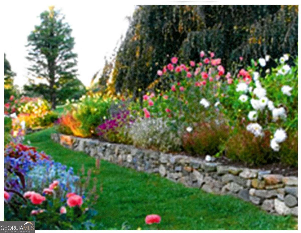 2100 West Wesley Road Northwest Atlanta, GA 30327 - Photo 52 of 53 a view of a flower