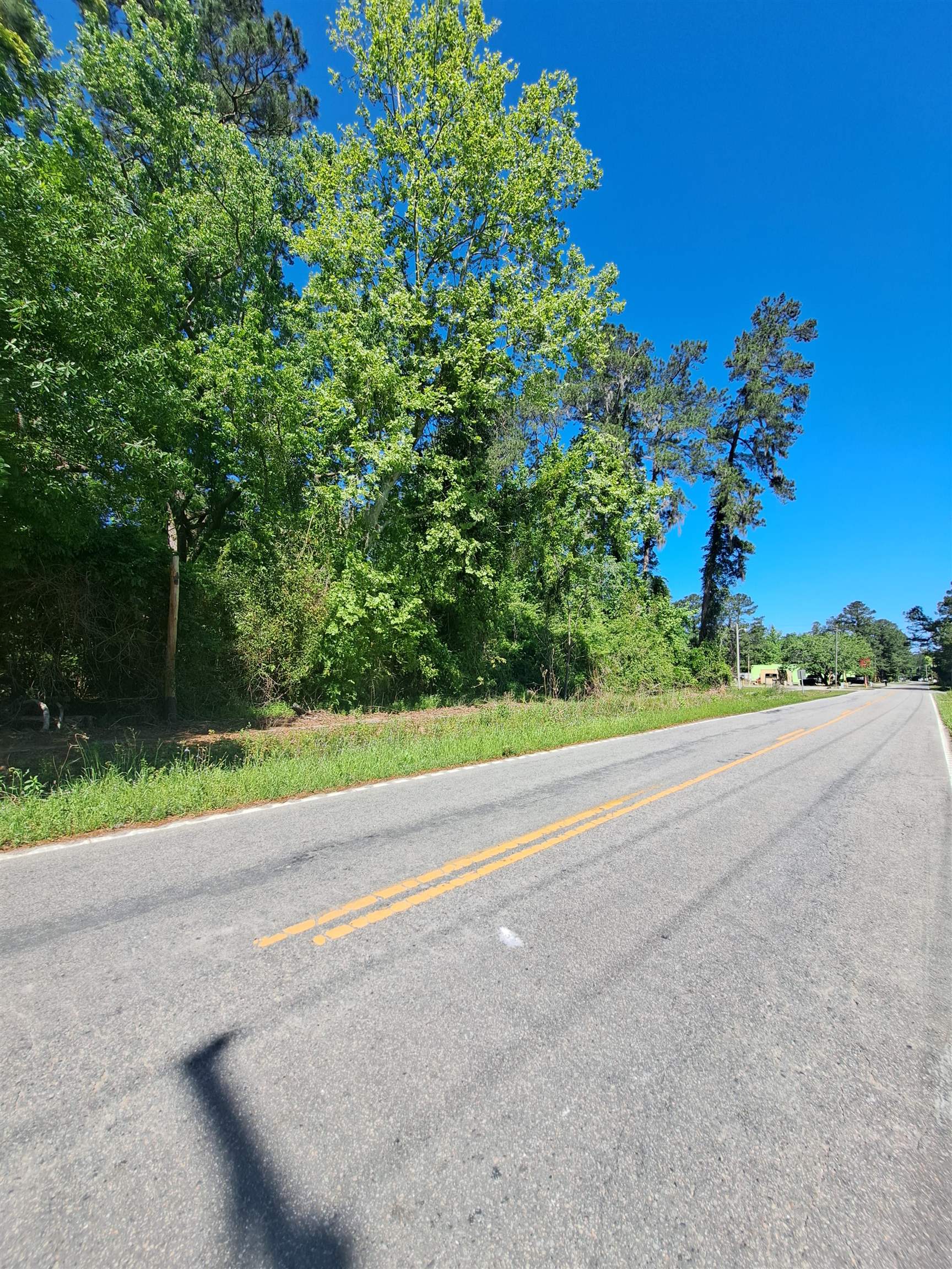 Tbd Lot A Bucksport Road Conway, SC 29527 - Photo 6 of 9