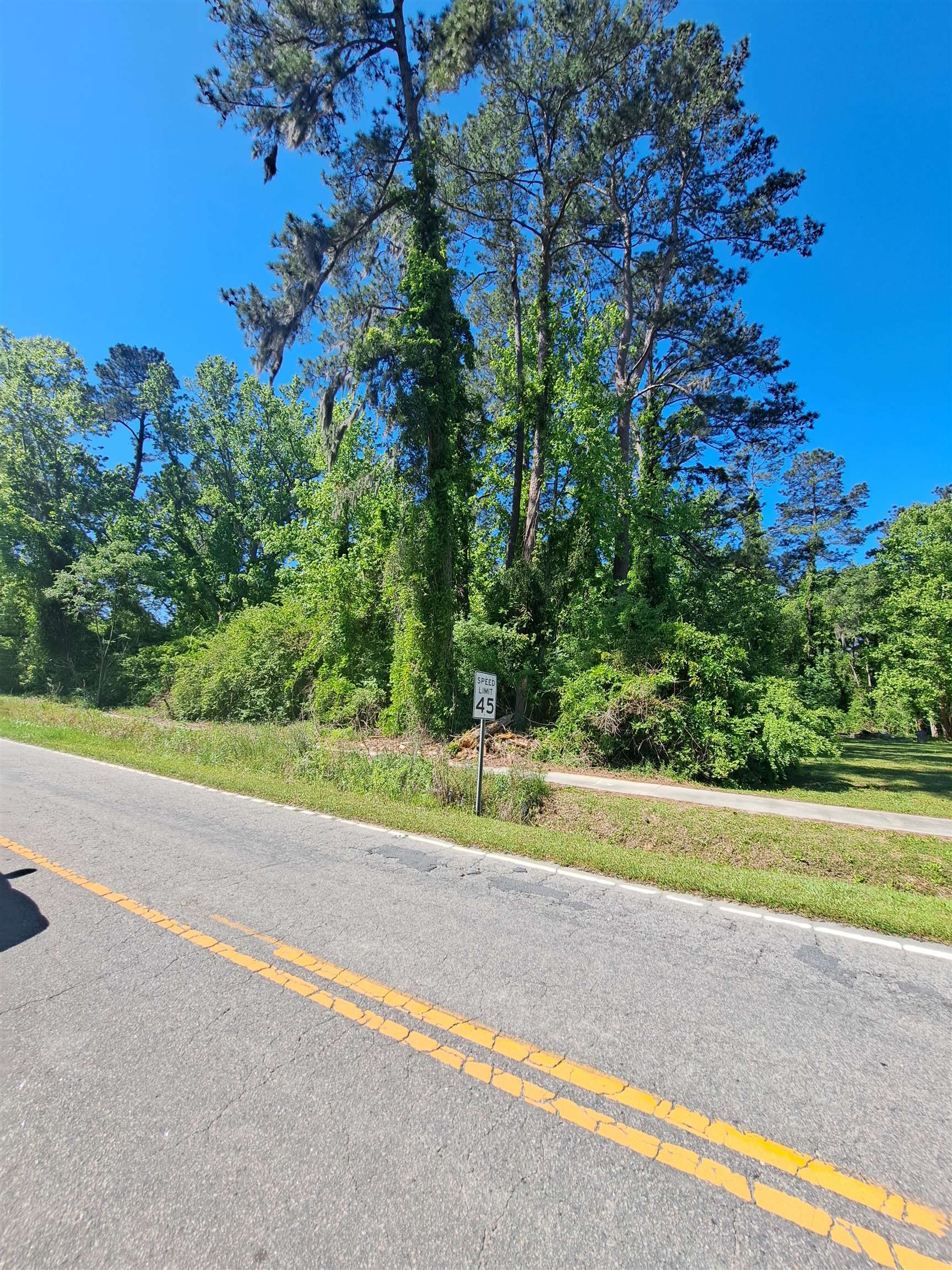 Tbd Lot A Bucksport Road Conway, SC 29527 - Photo 7 of 9