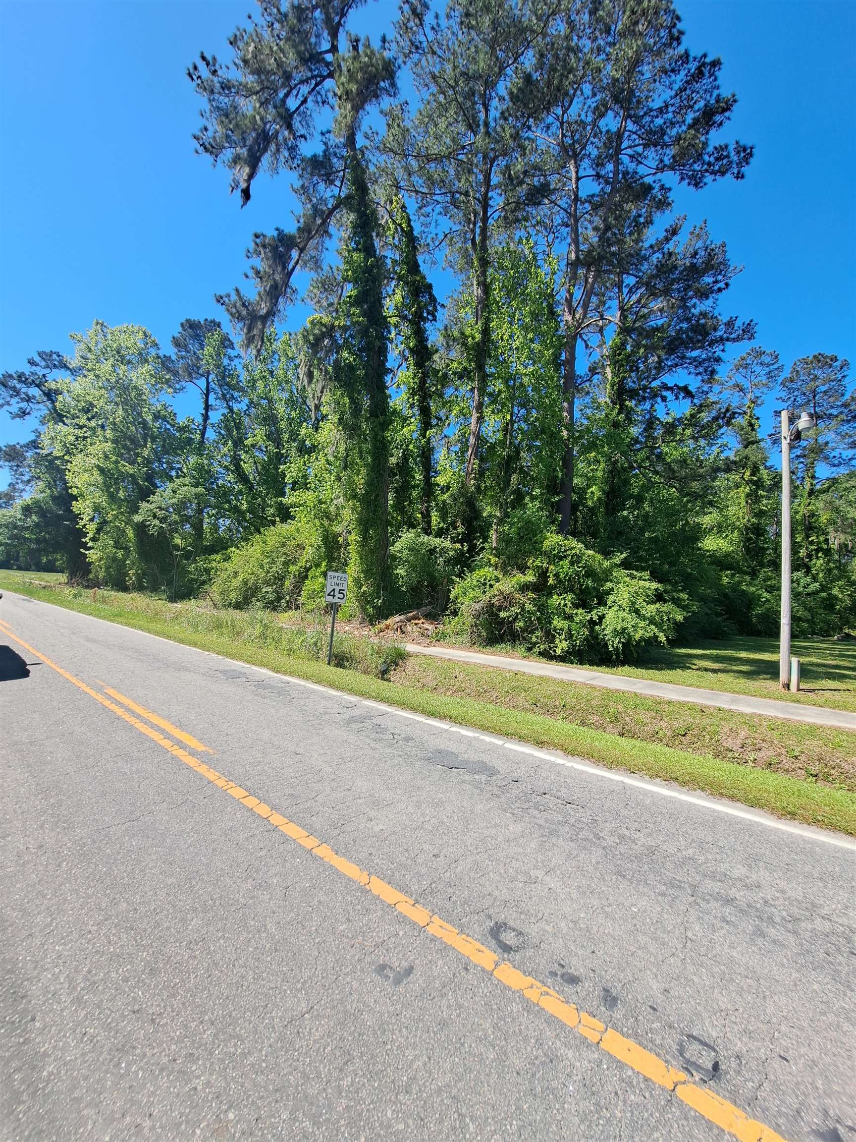 Tbd Lot A Bucksport Road Conway, SC 29527 - Photo 8 of 9