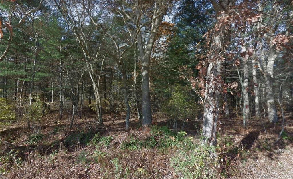 0 Spring Lake Road Oneco, CT 06373 - Photo 1 of 1 Gallery Image 1