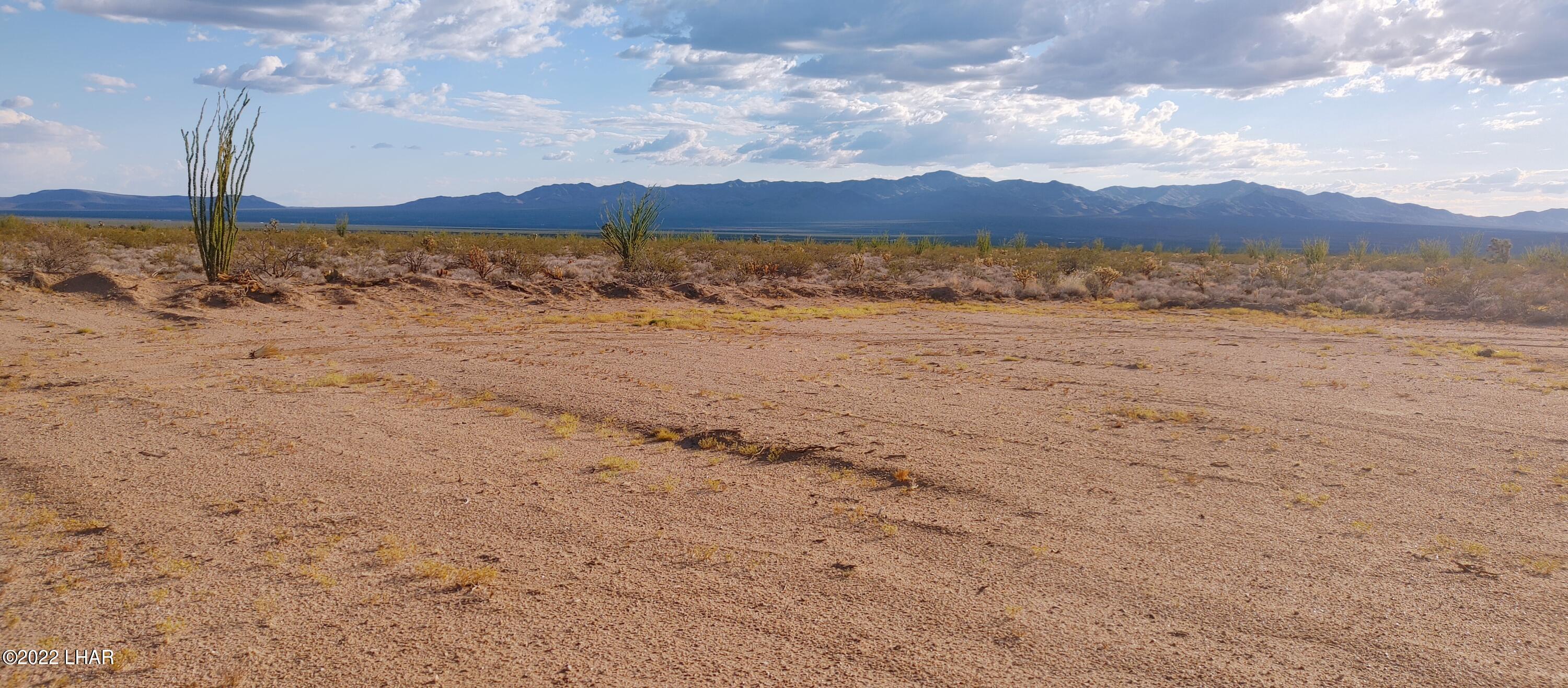 762 Roy Rogers Road Yucca, AZ 86438 - Photo 8 of 31 Driveway and building pad installed
