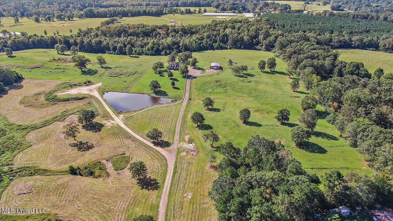 1393 Dry Creek Road Magee, MS 39111 - Photo 76 of 86 75-1393 Dry Creek Rd