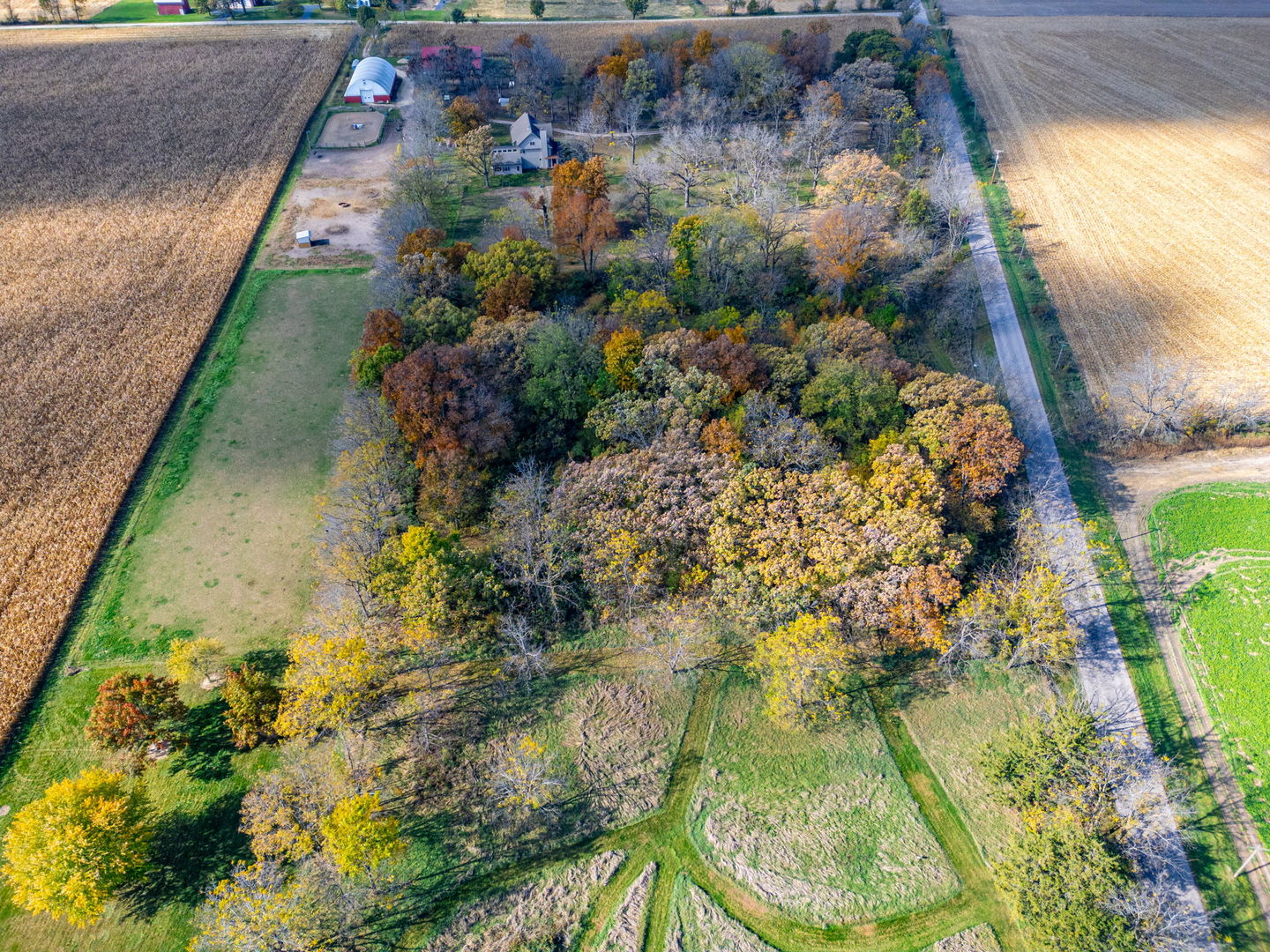 X North Boone School Road Poplar Grove, IL 61065 - Photo 11 of 20 a view of a garden with a bench