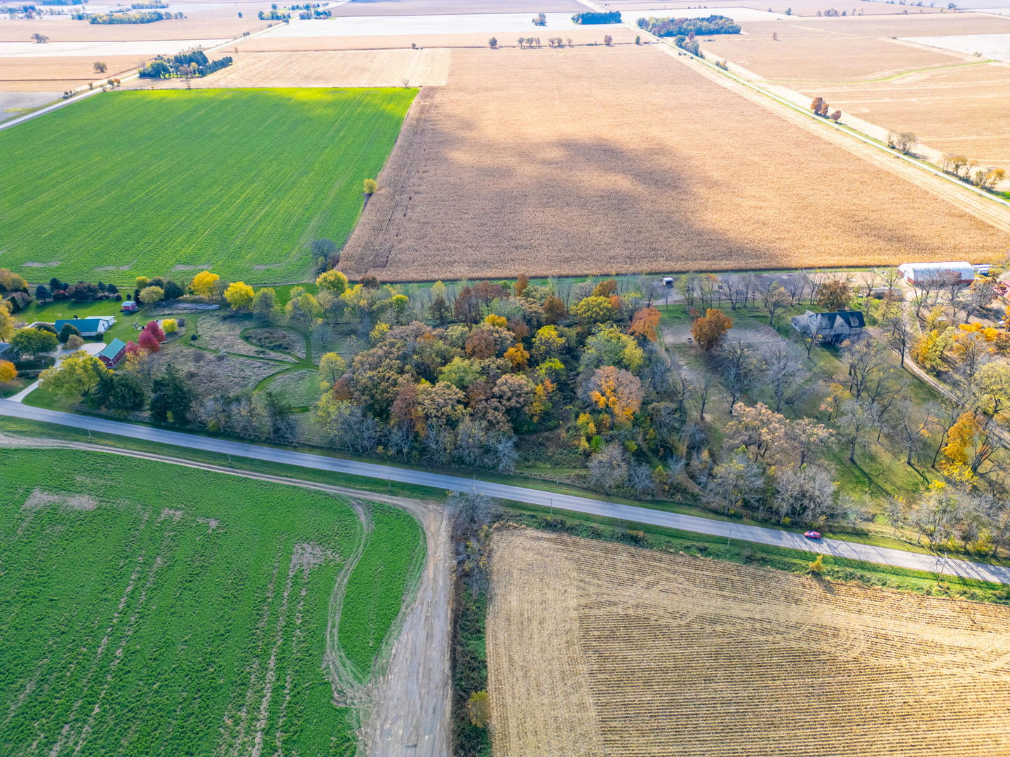 X North Boone School Road Poplar Grove, IL 61065 - Photo 13 of 20 a view of a garden