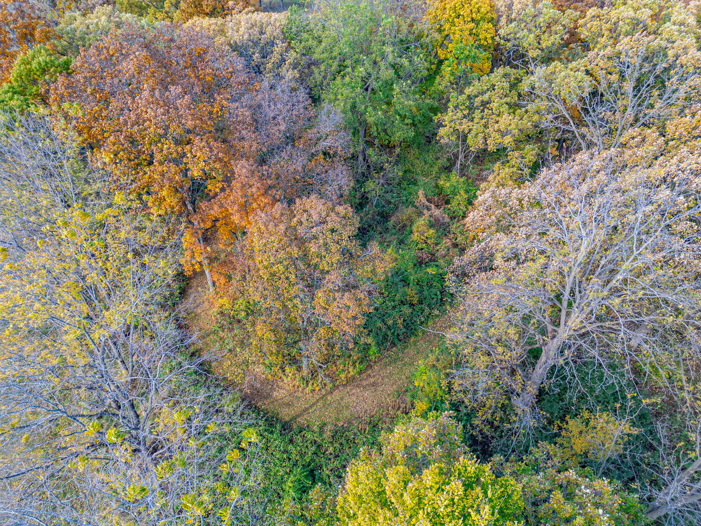 X North Boone School Road Poplar Grove, IL 61065 - Photo 16 of 20 a backyard of a house with lots of green space