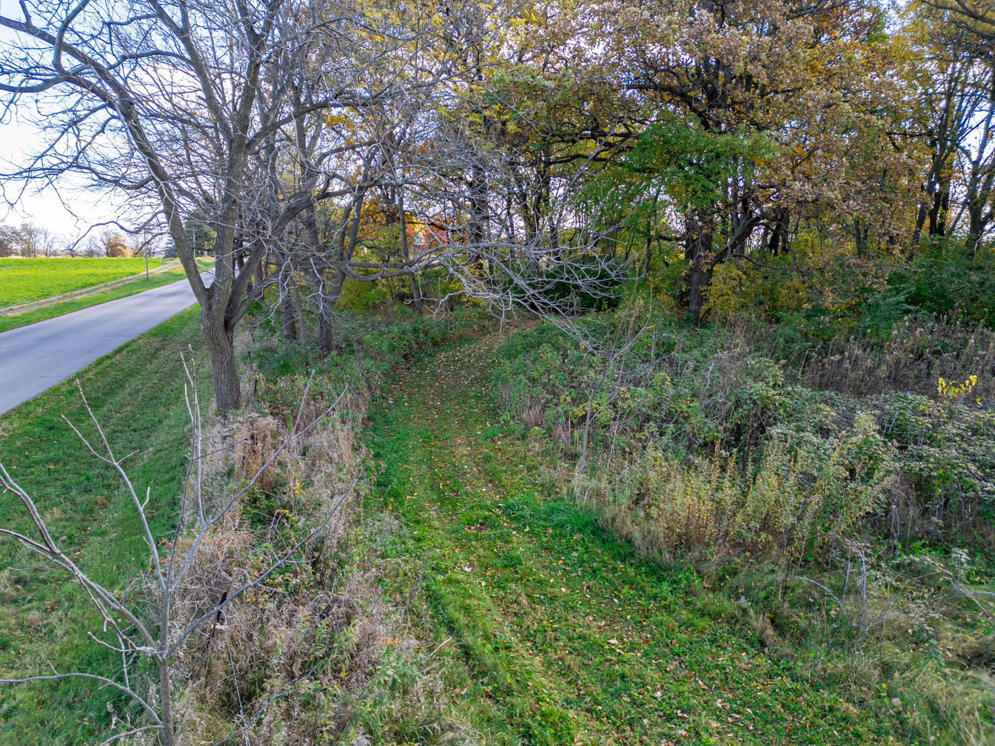 X North Boone School Road Poplar Grove, IL 61065 - Photo 17 of 20 a view of a garden with a tree