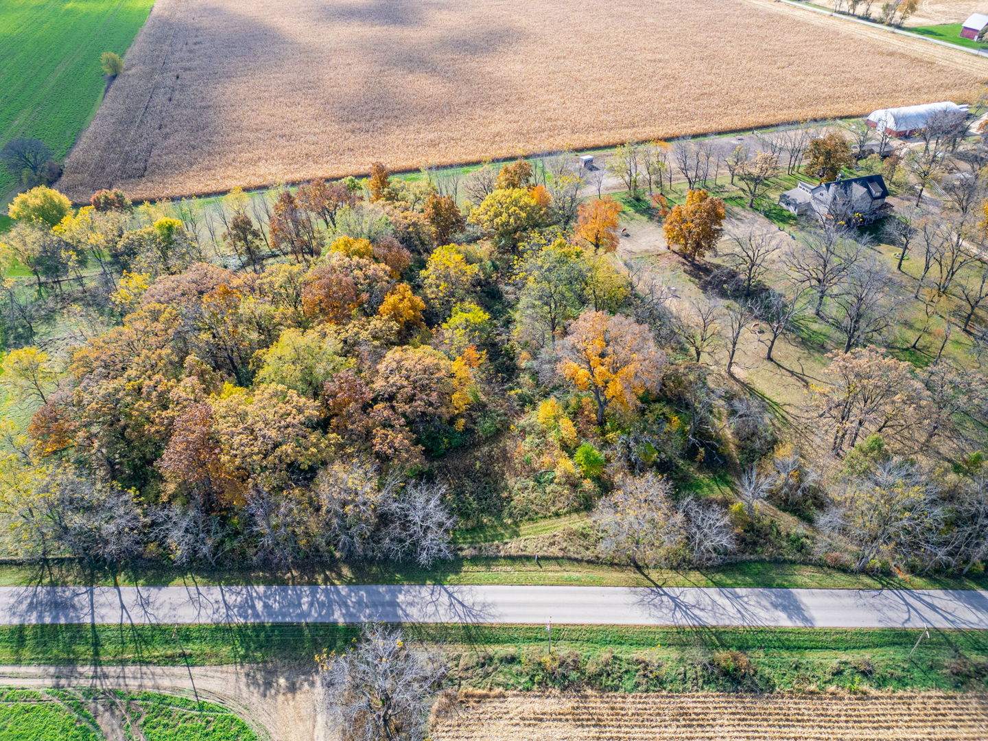 X North Boone School Road Poplar Grove, IL 61065 - Photo 5 of 20 a view of a yard with an outdoor seating