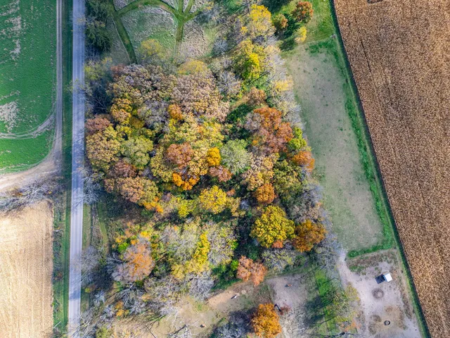 a view of a yard with an empty space