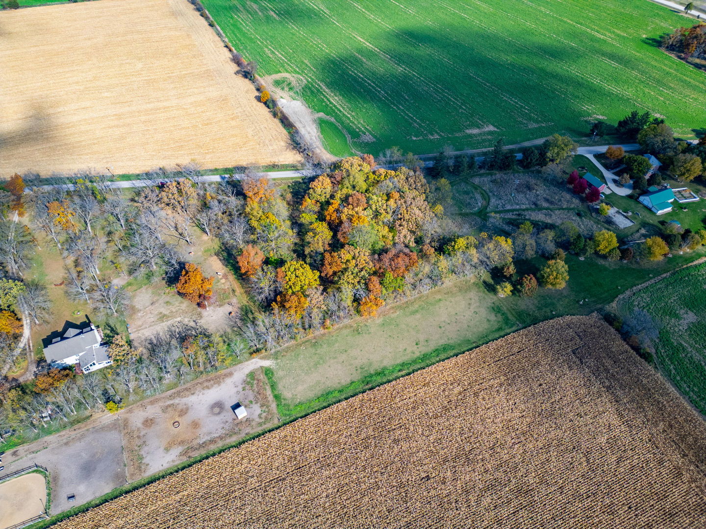 X North Boone School Road Poplar Grove, IL 61065 - Photo 7 of 20 a view of a yard with an empty space
